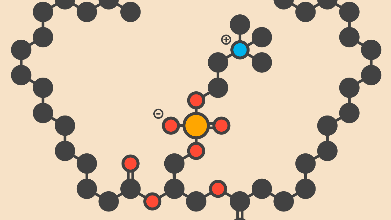 Surfactants สารลดแรงตึงผิว คืออะไร หาคำตอบได้