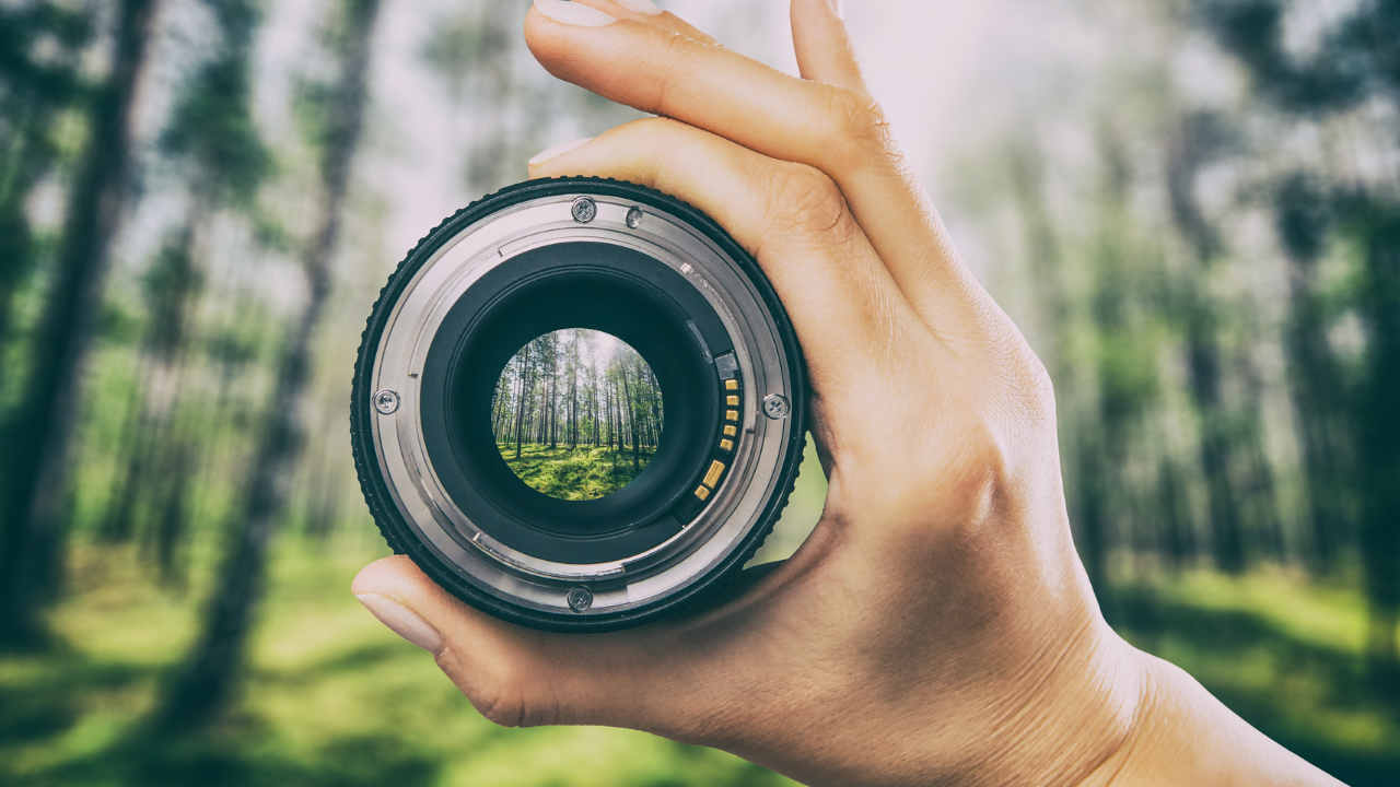 ควรเลือกเลนส์กล้องอย่างไรให้เหมาะกับการใช้งาน